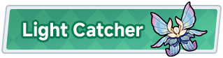 Light Catcher